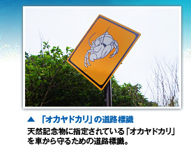 「オカヤドカリ」の道路標識