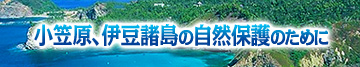 興亜産業 小笠原、伊豆諸島の自然保護のために
